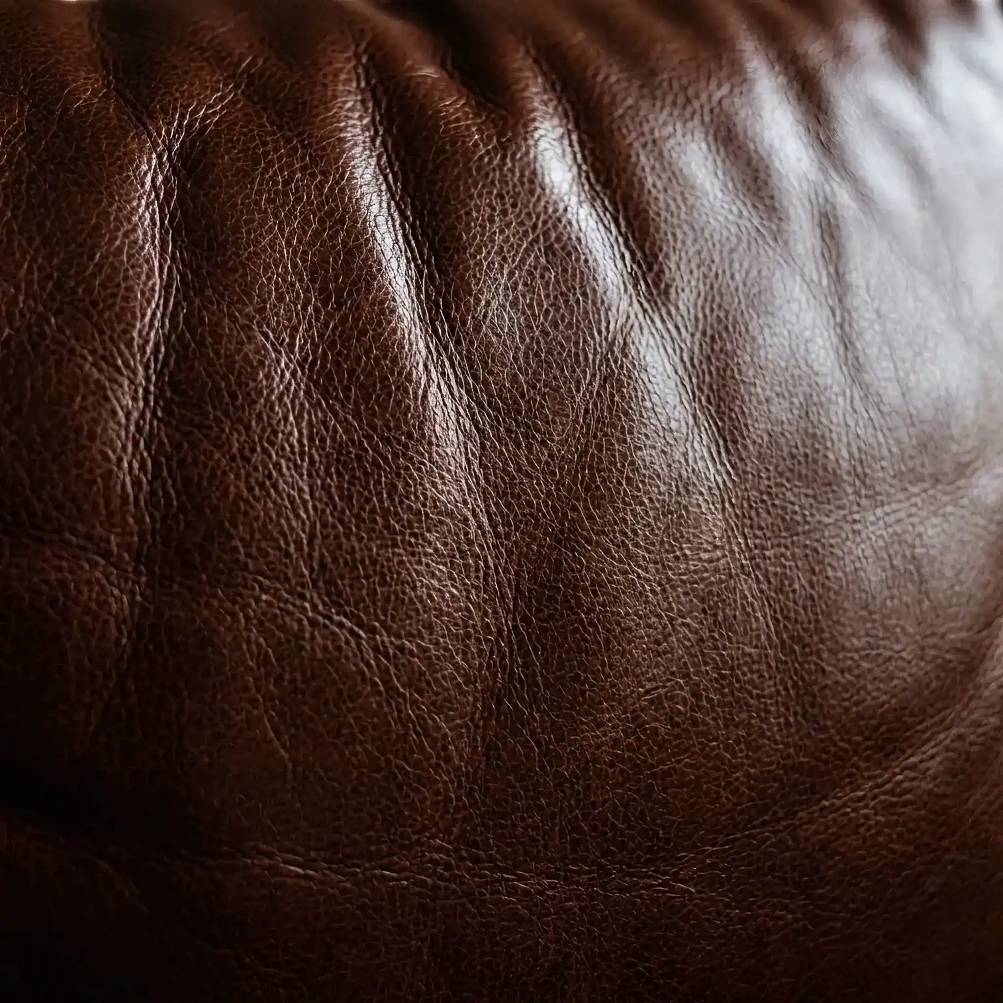 Interior detail: Microstructure of Bio-Silk Leather 2026 fibers grown in a bioreactor