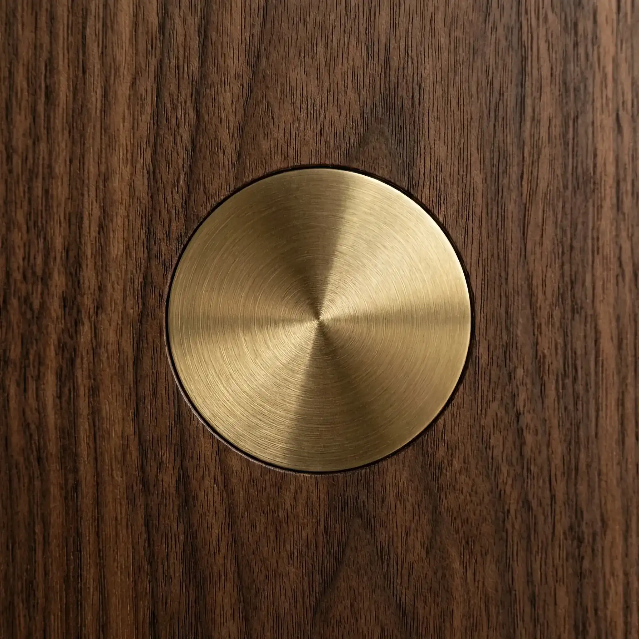 Interior detail: 2026 Vital-Sync system vital energy distribution map in the lobby