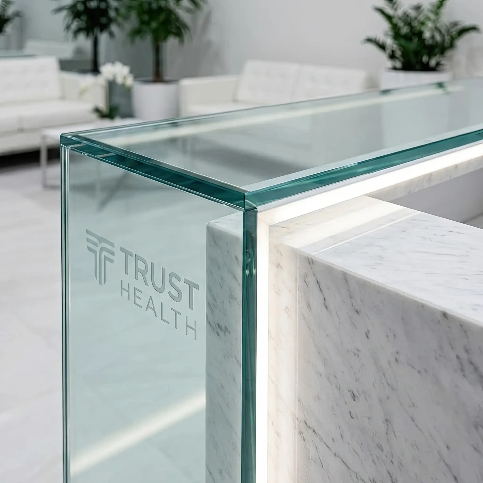 Interior detail: Reception desk with individual acoustic zones for each patient