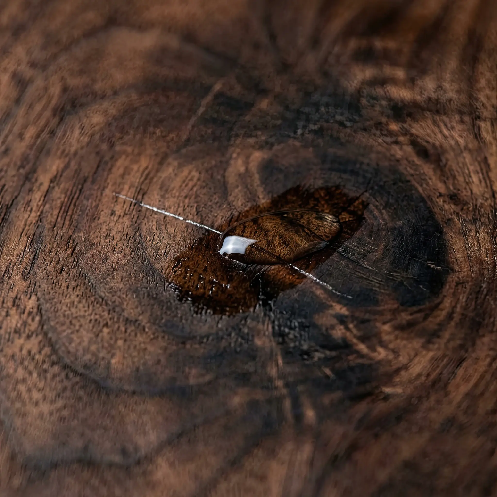 Interior detail: 2026 info desk with Info-RE coating: hospitality zone durability illustration